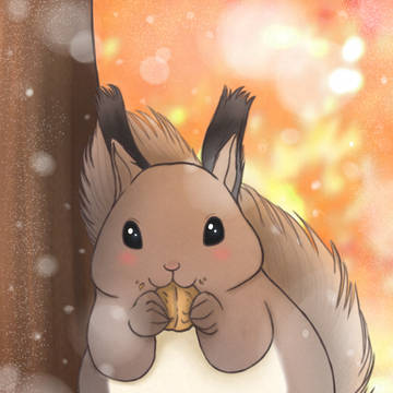 エゾリスのお食事タイム🐿❄🍁