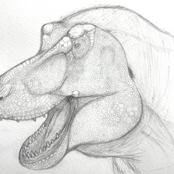 ティラノサウルス