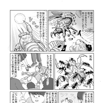拾遺海洋譚 4部 1/2