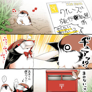 応募ハガキ