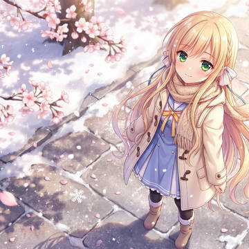 妃你莫属