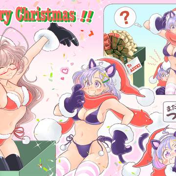 猫耳サンタへのプレゼント🎁