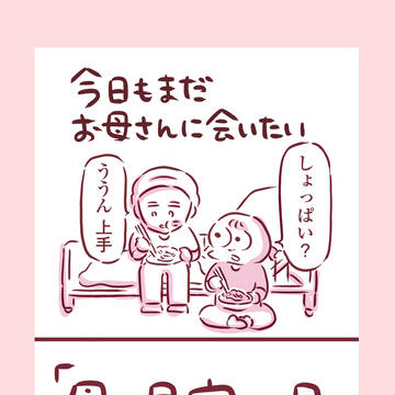 母の見守りをした日