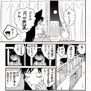 case.新蘭