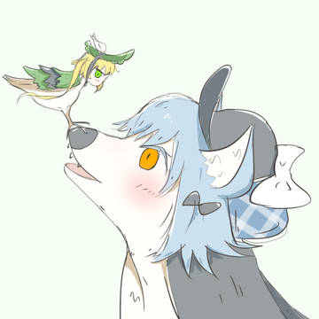 ｹﾓｼｪﾊ