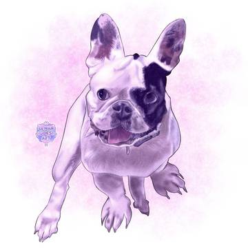 Millie chan