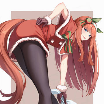 サンタスズカさん
