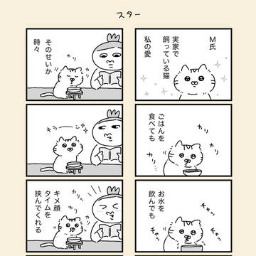 スター✨