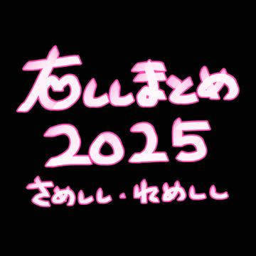 右ししまとめ2025
