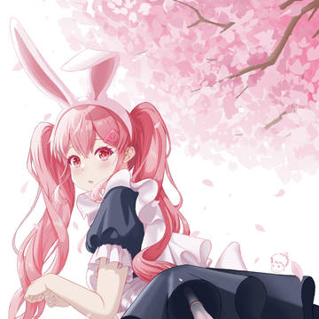 樱花🌸下的兔皮皮(❁´◡`❁)