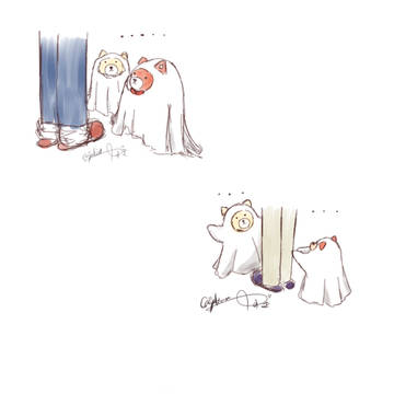 最近の🐱
