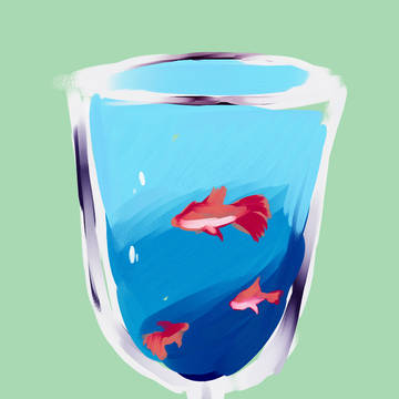 金魚グラス
