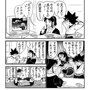 case.刃さや