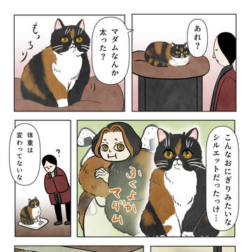 マダム、太った…?