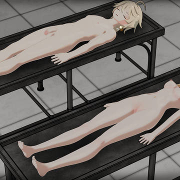 Travelers in the morgue