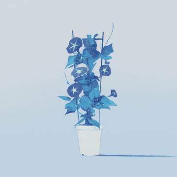 Page 10 thumbnail