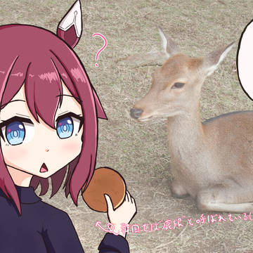 奈良に行ってきました🦌