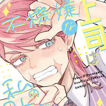【WEB再録】不機嫌な上司は私のコトが好きらしい【夢漫画】