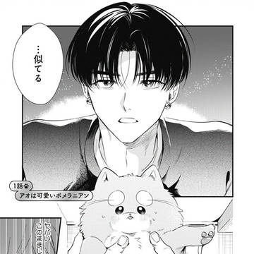 推しアイドルの推しになってしまったポメの話