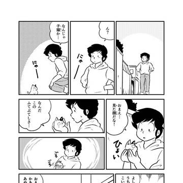 冬コミ新刊です