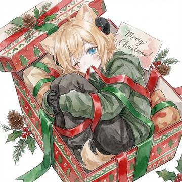 少し遅くなりましたが皆さまメリークリスマス！