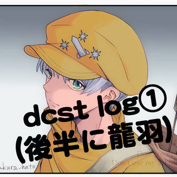 dcst log①