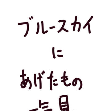ブルースカイにあげたもの一気見　No.5