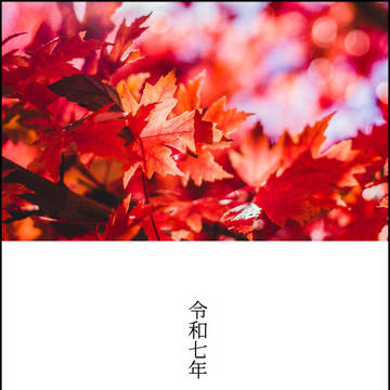令和七年 秋のまとめ