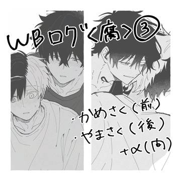 WBログ③