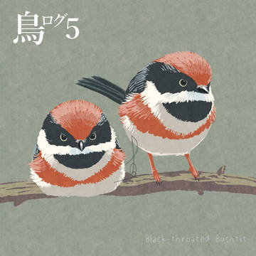 鳥ログ５