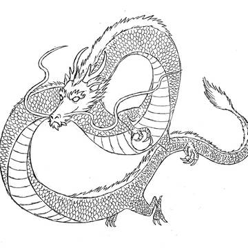 龍