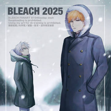BLEACHログ12