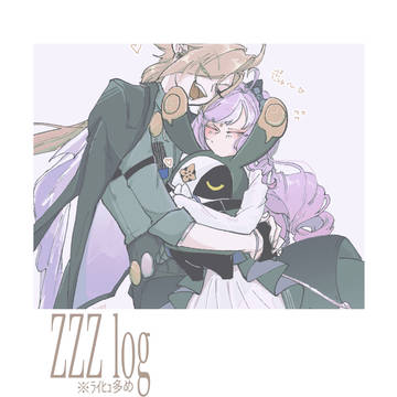 zzz log