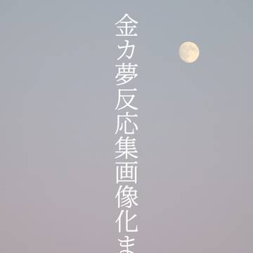 金カ夢反応集画像化まとめ②