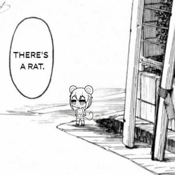 There's a rat