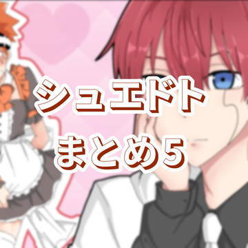 シュエドトまとめ5