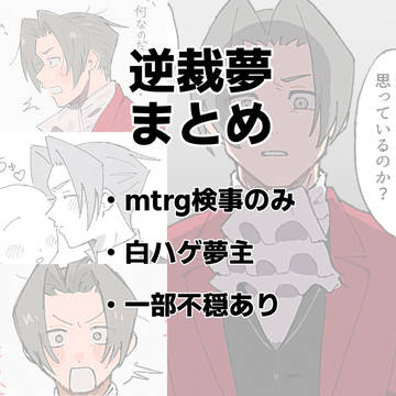 逆裁夢まとめ2