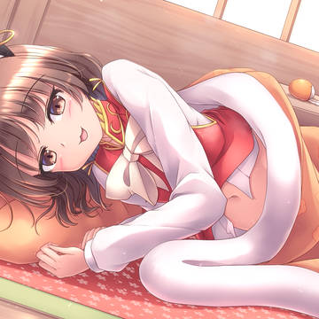 こたつ猫