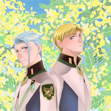 mimosa