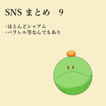 SNS　まとめ⑨