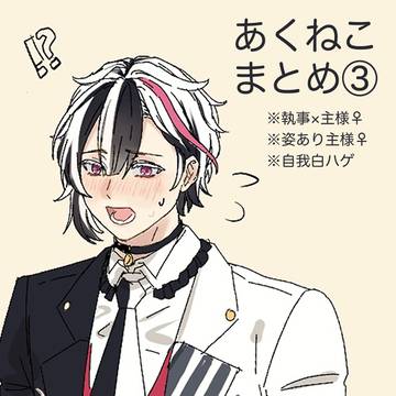 あくねこまとめ③