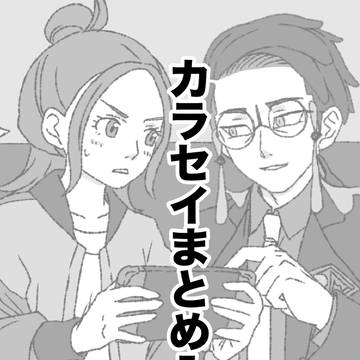 カラセイまとめ1