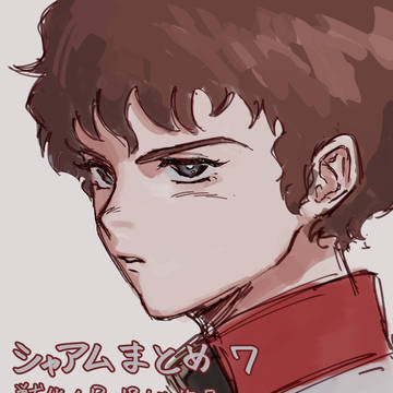 シャアムまとめ7