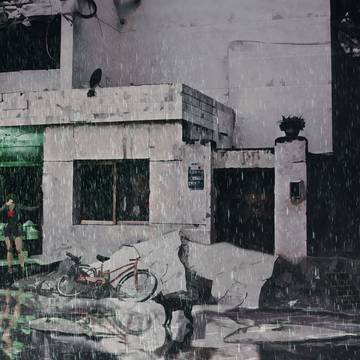 死体