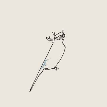 鳥ちゃん