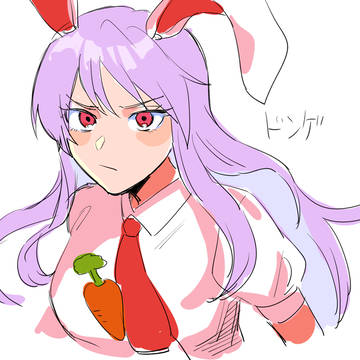 2025余りもの