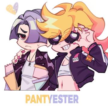 Panty and Polyester