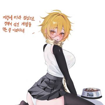 불쌍한 동키