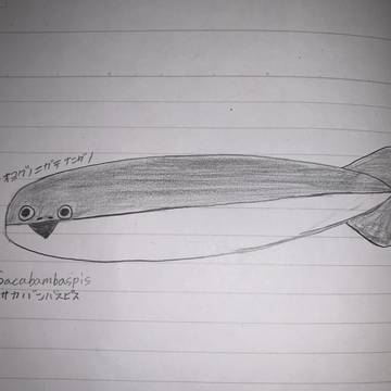 サカバンバスピス描いてみた!
