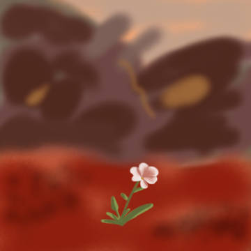 蒼枯